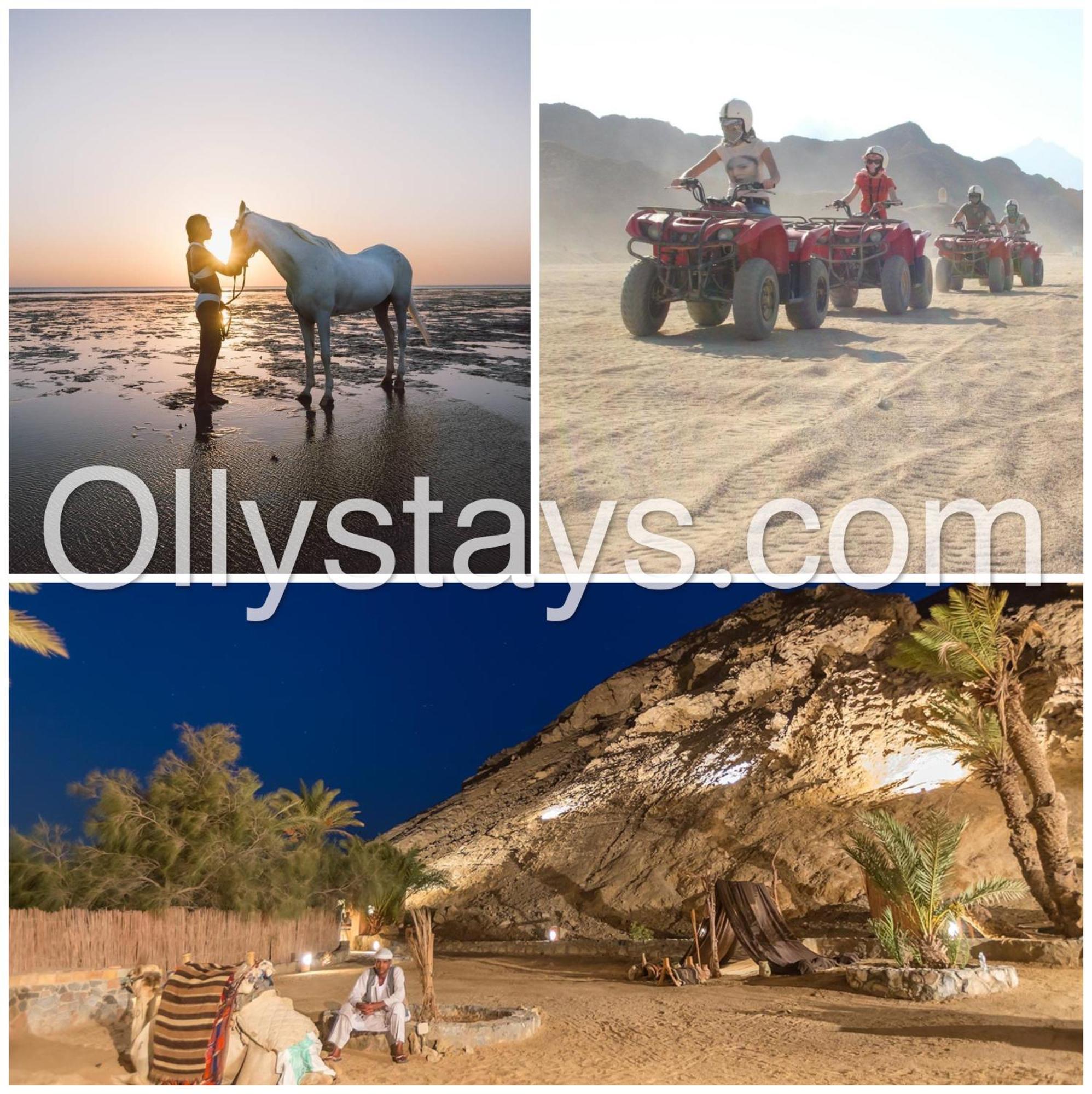 Ollystays Mangroovy 1 Bedroom Beach And Pool Free Access Hurghada Exteriér fotografie